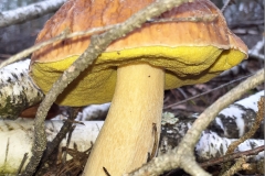 20191001_100110