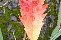 20191001_102803