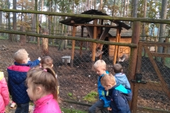 IMG_20171018_105338
